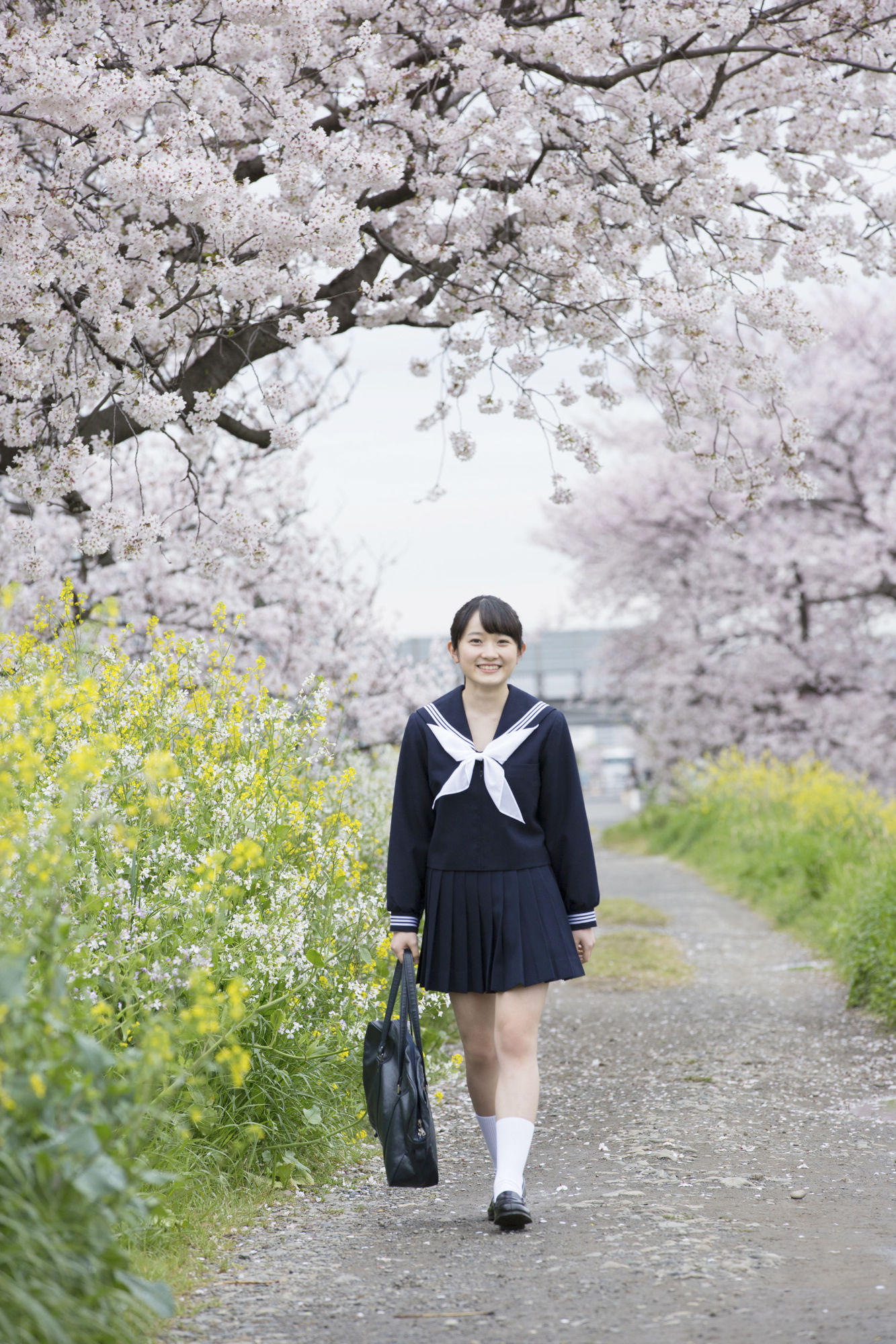 Aya hisakawa. Chisaki Morito. Чисаки Морито.